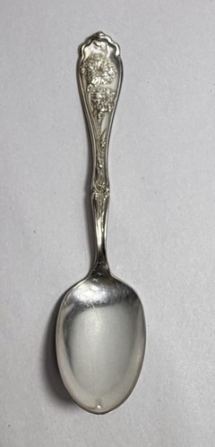 Silver plated table - plated, spoon